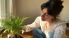 Trapianto senza errori: questo metodo ti aiuterà a evitare brutte sorprese e farà ricrescere i fiori