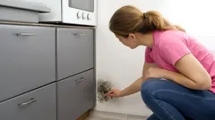 Donna controlla muffa nera sul muro della cucina accanto ai mobili grigi.