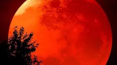 Eclissi lunare con luna rossa dietro sagoma di albero di notte